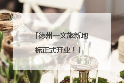德州一文旅新地标正式开业！