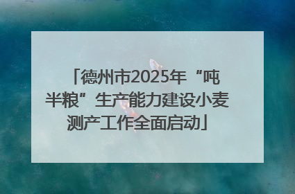 德州市2025年“吨半粮”生产能力建设小麦测产工作全面启动