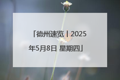 德州速览丨2025年5月8日 星期四