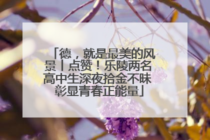 德，就是最美的风景丨点赞！乐陵两名高中生深夜拾金不昧 彰显青春正能量