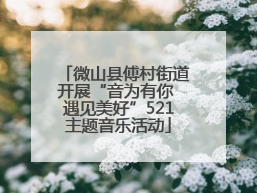 微山县傅村街道开展“音为有你 遇见美好”521主题音乐活动