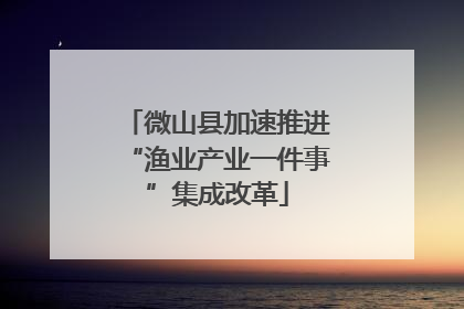 微山县加速推进“渔业产业一件事”集成改革