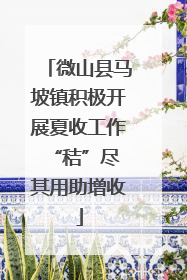 微山县马坡镇积极开展夏收工作 “秸”尽其用助增收