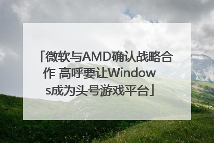 微软与AMD确认战略合作 高呼要让Windows成为头号游戏平台