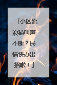 小区流浪猫叫声不断？民情快办出招啦！