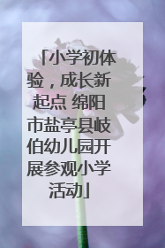 小学初体验，成长新起点 绵阳市盐亭县岐伯幼儿园开展参观小学活动