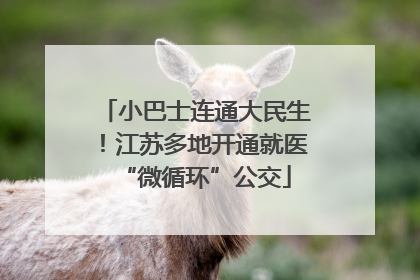小巴士连通大民生！江苏多地开通就医“微循环”公交