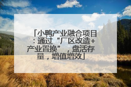 小鸭产业融合项目：通过“厂区改造+产业置换”，盘活存量，增值增效