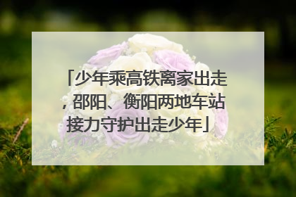 少年乘高铁离家出走，邵阳、衡阳两地车站接力守护出走少年
