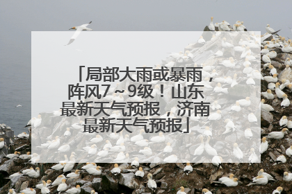 局部大雨或暴雨，阵风7～9级！山东最新天气预报，济南最新天气预报