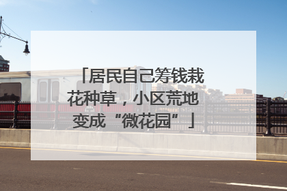 居民自己筹钱栽花种草，小区荒地变成“微花园”