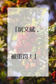 屠文斌，被重罚！