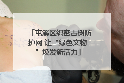 屯溪区织密古树防护网 让“绿色文物”焕发新活力