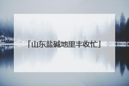 山东盐碱地里丰收忙