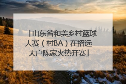山东省和美乡村篮球大赛（村BA）在招远大户陈家火热开赛