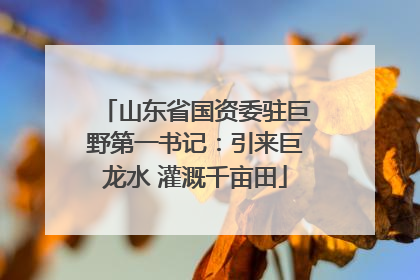 山东省国资委驻巨野第一书记：引来巨龙水 灌溉千亩田