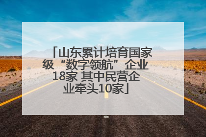 山东累计培育国家级“数字领航”企业18家 其中民营企业牵头10家
