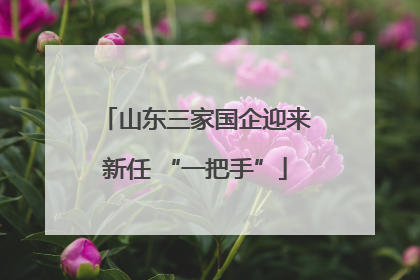 山东三家国企迎来新任 “一把手”