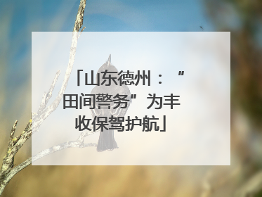 山东德州：“田间警务”为丰收保驾护航