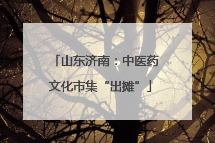 山东济南：中医药文化市集“出摊”