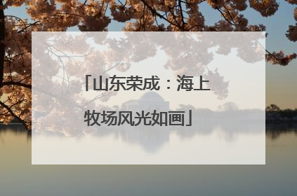 山东荣成：海上牧场风光如画