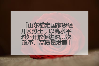 山东锚定国家级经开区热土，以高水平对外开放促进深层次改革、高质量发展