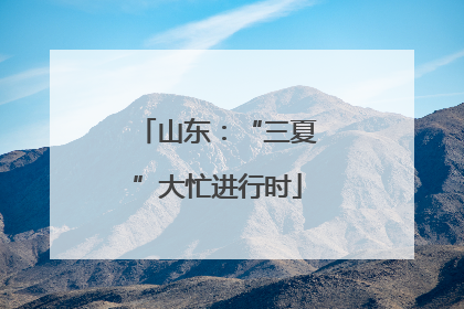 山东：“三夏”大忙进行时