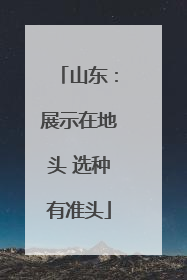 山东：展示在地头 选种有准头