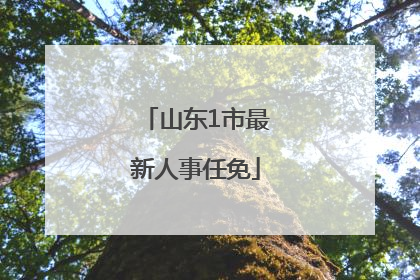 山东1市最新人事任免