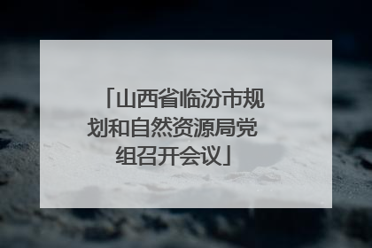 山西省临汾市规划和自然资源局党组召开会议