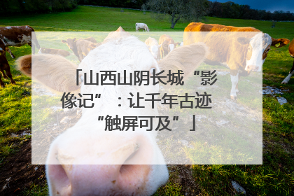 山西山阴长城“影像记”：让千年古迹“触屏可及”