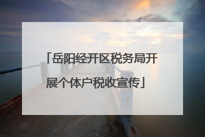岳阳经开区税务局开展个体户税收宣传