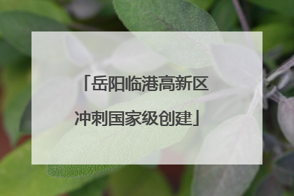 岳阳临港高新区冲刺国家级创建