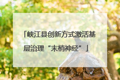 峡江县创新方式激活基层治理“末梢神经”