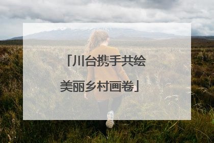 川台携手共绘美丽乡村画卷