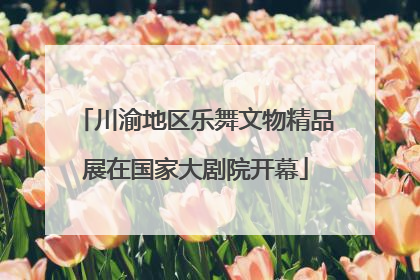 川渝地区乐舞文物精品展在国家大剧院开幕