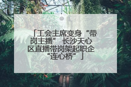 工会主席变身“带岗主播” 长沙天心区直播带岗架起职企“连心桥”