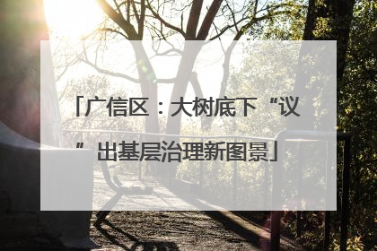 广信区：大树底下“议”出基层治理新图景