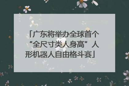广东将举办全球首个“全尺寸类人身高”人形机器人自由格斗赛