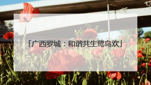 广西罗城：和谐共生鹭鸟欢