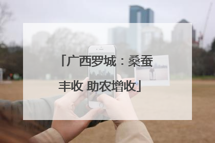 广西罗城：桑蚕丰收 助农增收