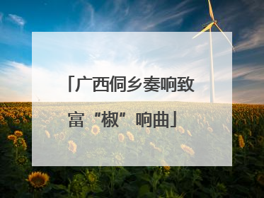 广西侗乡奏响致富“椒”响曲