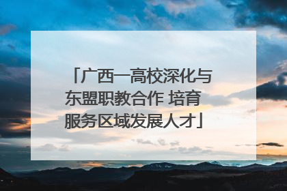 广西一高校深化与东盟职教合作 培育服务区域发展人才