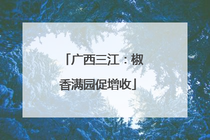 广西三江：椒香满园促增收