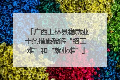 广西上林县稳就业十条措施破解“招工难”和“就业难”