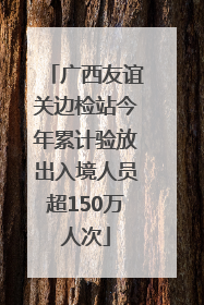广西友谊关边检站今年累计验放出入境人员超150万人次