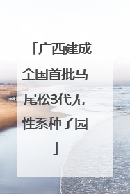 广西建成全国首批马尾松3代无性系种子园