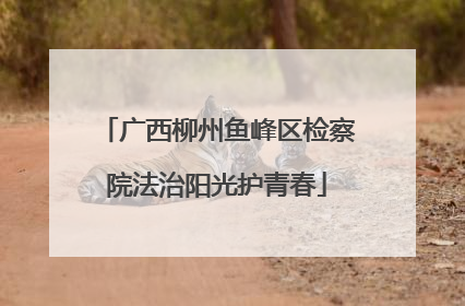 广西柳州鱼峰区检察院法治阳光护青春