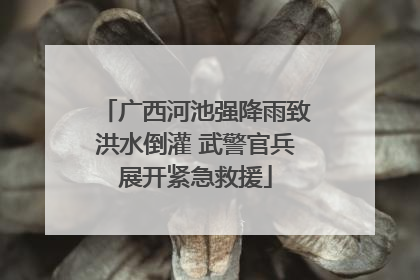 广西河池强降雨致洪水倒灌 武警官兵展开紧急救援