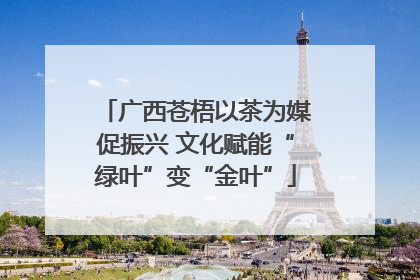广西苍梧以茶为媒促振兴 文化赋能“绿叶”变“金叶”